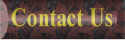 Contact Details